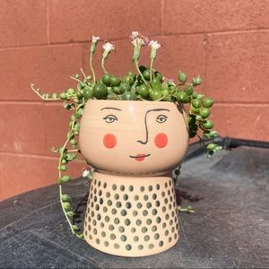 String of pearls  in pot